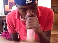 Black friend loves white seed