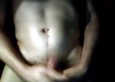 cam331