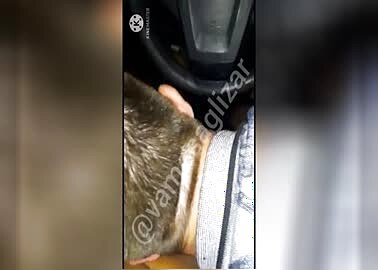 40-Uber seguidor do TT