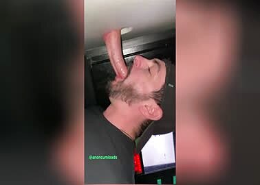 squiddong