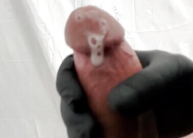 lee
