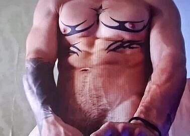 Hoy Stud 3