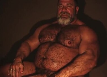 Apex Bear Gilf