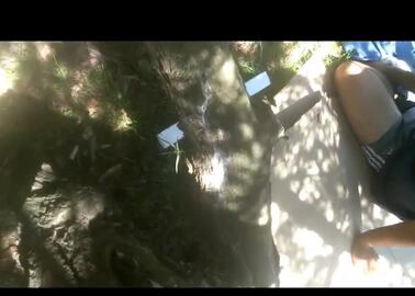 video_2021-03-03_23-18-59