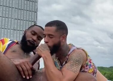 Black Studs Fucking