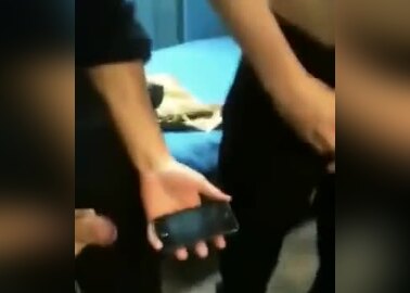Cock fight before work
