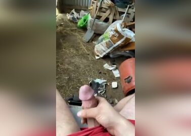 Farmers Fun