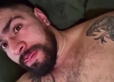 Beefy bear