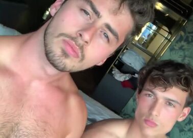 sventenbrake desidady