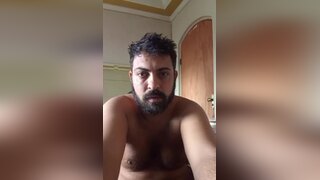 Young Bear Teasing