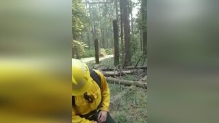 Wildfire Firefighter