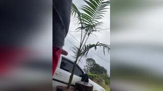 Pissing
