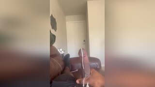 wolf strokensmoke