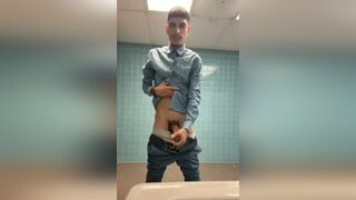 mesohorny westaussie
