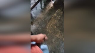 Gozandoo na passarela