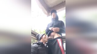 Minha gayzinha chupando agora de manha parte ii